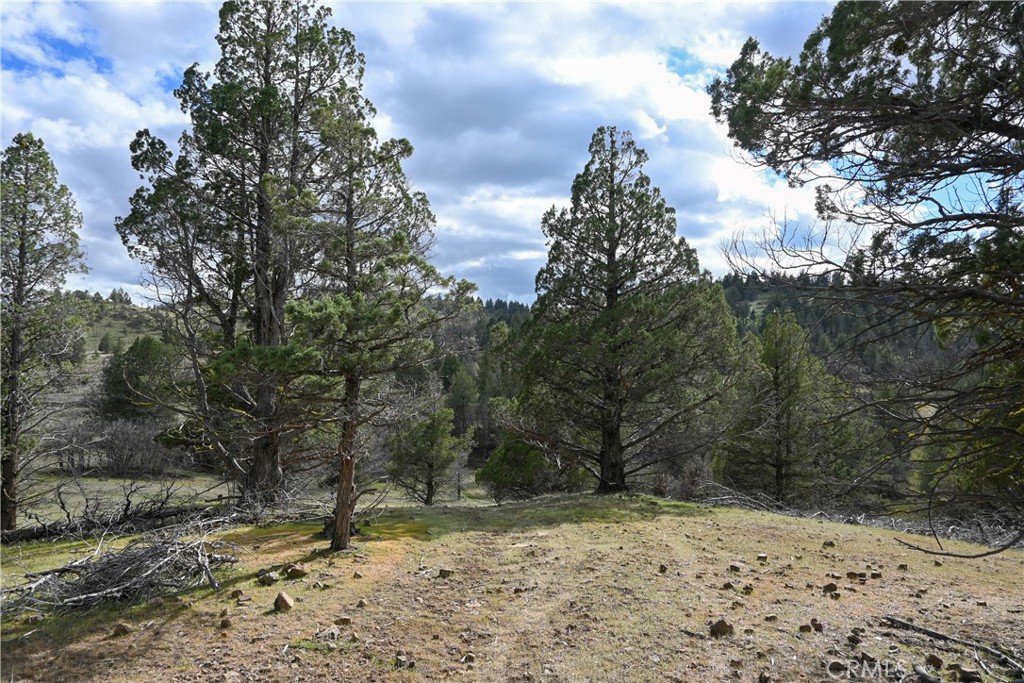 0 Willit Way Property Photo 1