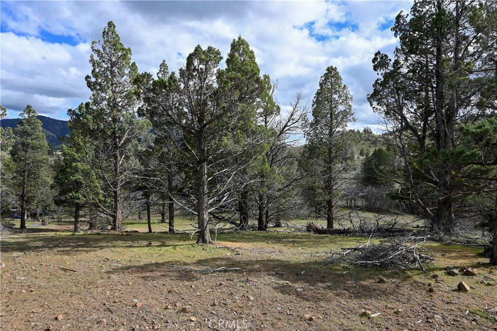 0 Willit Way Property Photo 2