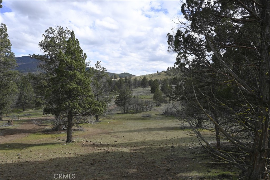 0 Willit Way Property Photo 3