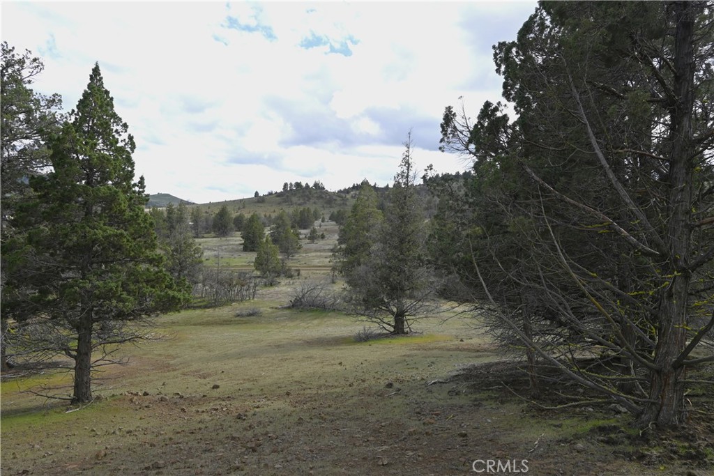 0 Willit Way Property Photo 4