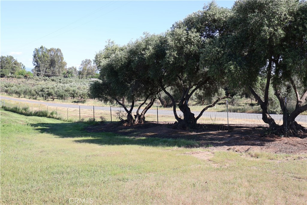 0 Carona Ave. Property Photo 5