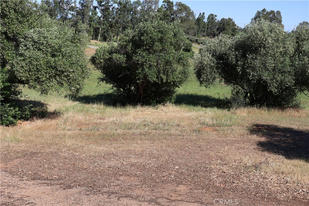 0 Carona Ave. Property Photo 10
