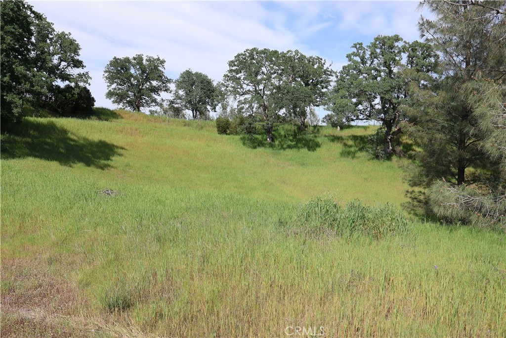 7325 Bluebird Rd. Property Photo 1