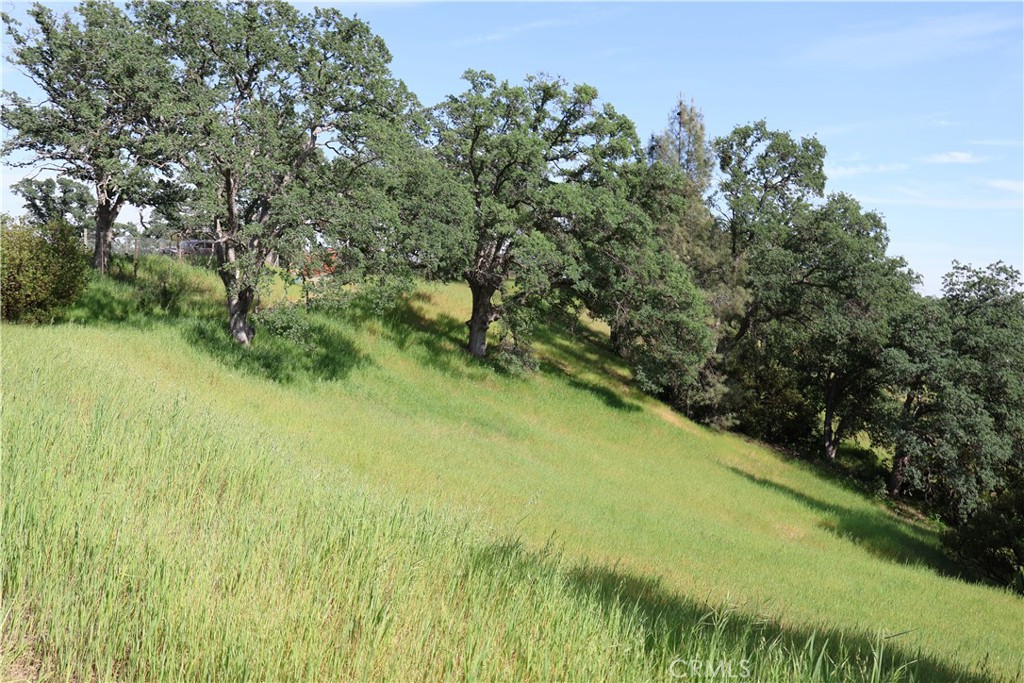 7325 Bluebird Rd. Property Photo 2