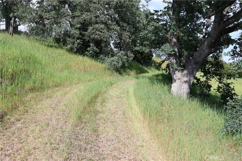 7325 Bluebird Rd. Property Photo 3