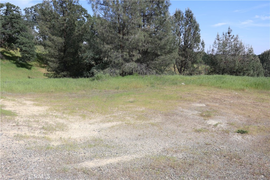 7325 Bluebird Rd. Property Photo 7