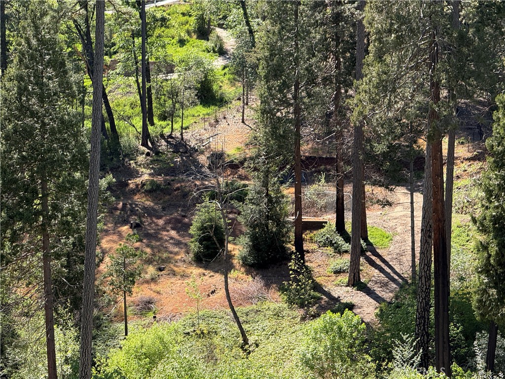 5976 Fickett Property Photo 6