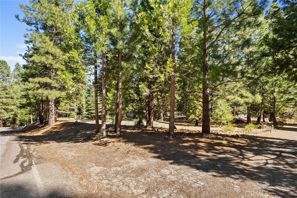 701 Lake Ridge Road Property Photo 5