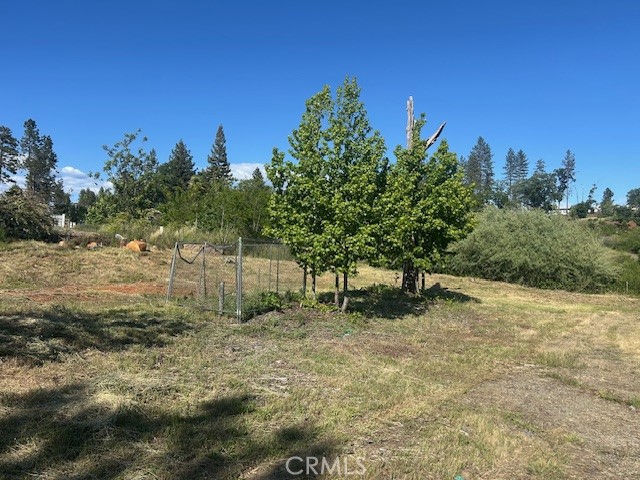 1017 Rochelle Property Photo 1