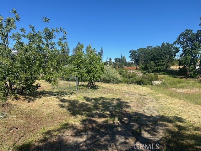1017 Rochelle Property Photo 2