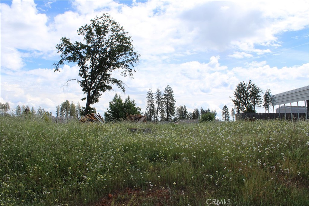 6096 Cliff Property Photo 9