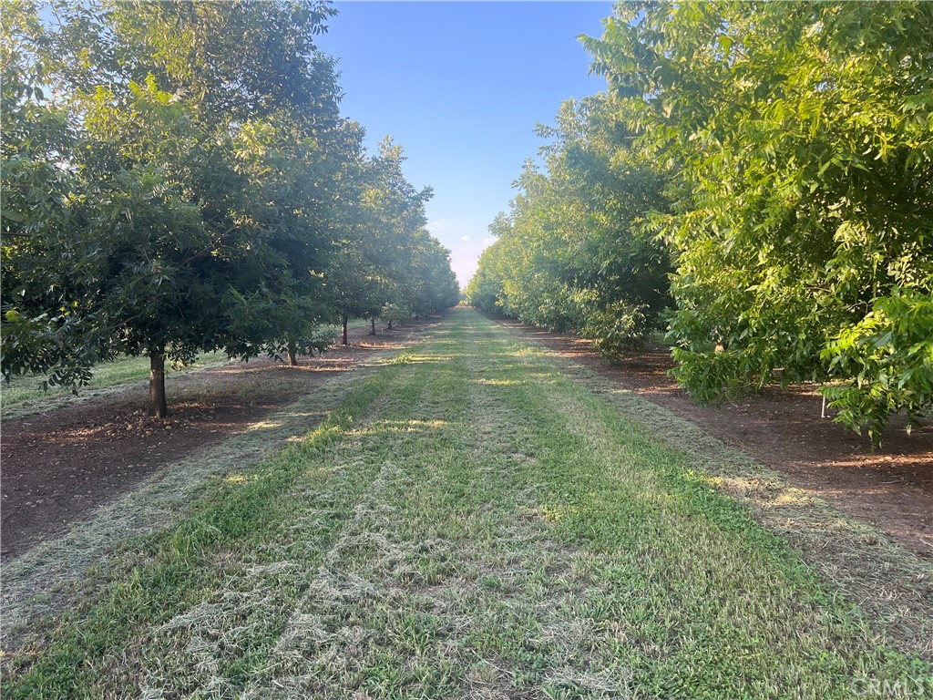 14450 Meridian Road Property Photo 14