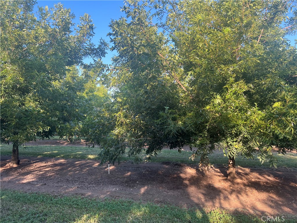 14450 Meridian Road Property Photo 15
