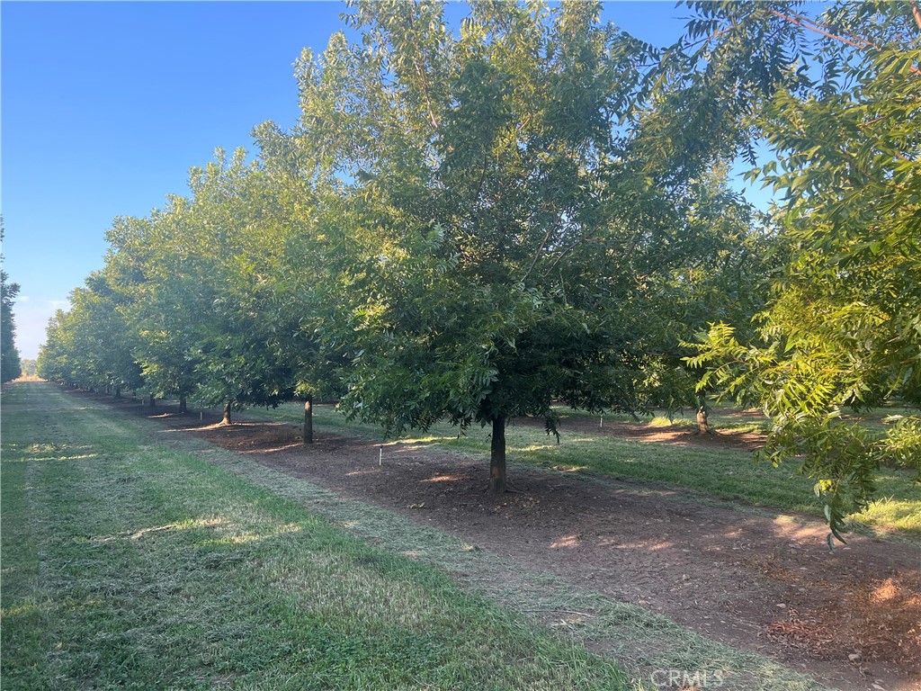 14450 Meridian Road Property Photo 16
