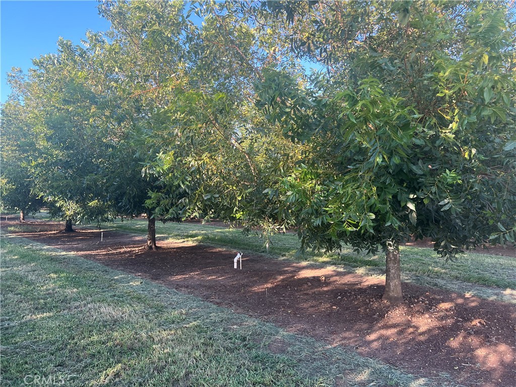 14450 Meridian Road Property Photo 19