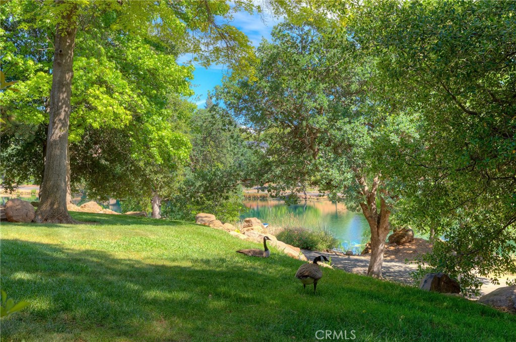 2883 Pennyroyal Dr Property Photo 33