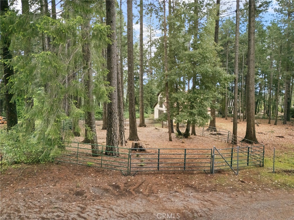 5555 Platt Mountain Property Photo 51