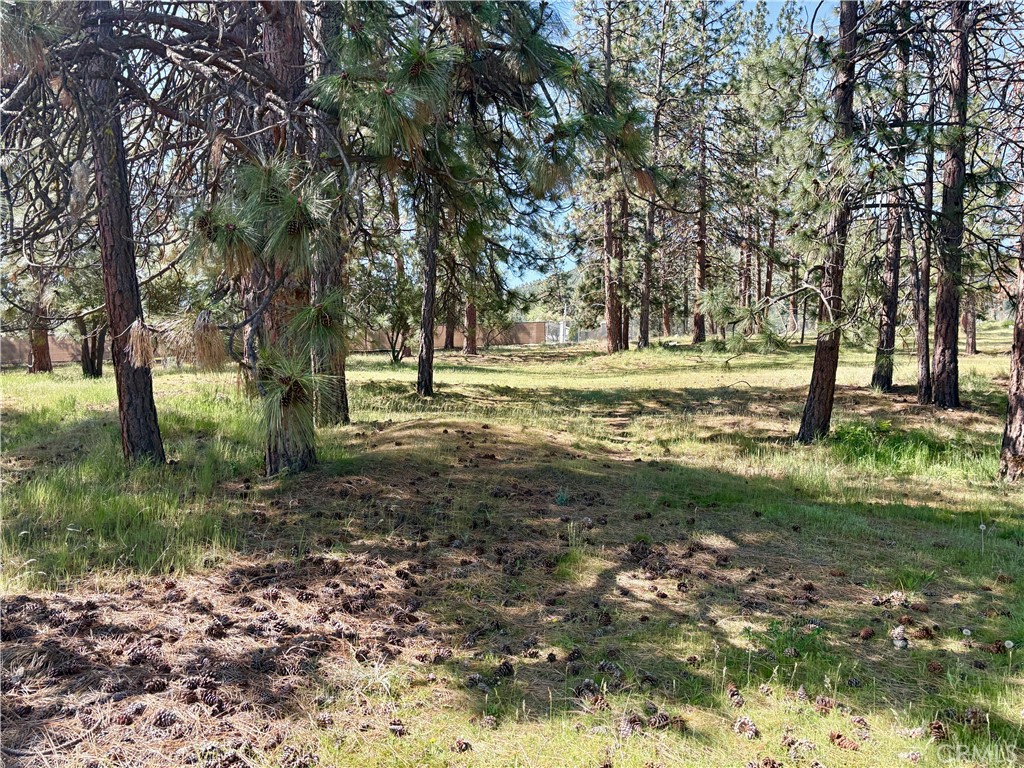 0 S Lang Way Property Photo 14