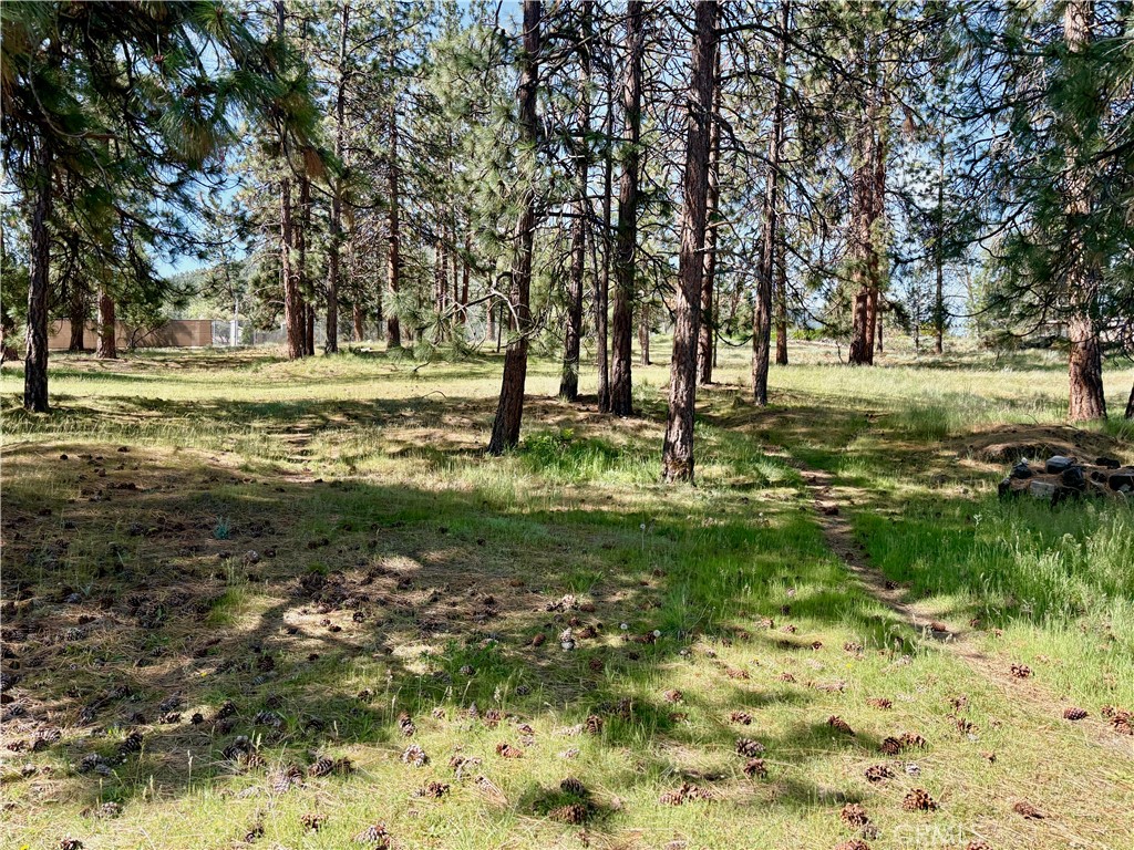 0 S Lang Way Property Photo 15