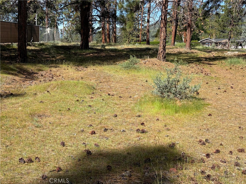 0 S Lang Way Property Photo 18