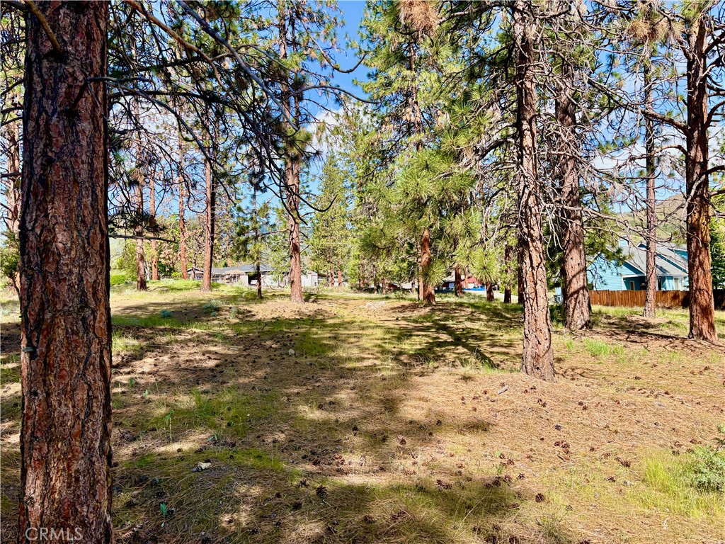 0 S Lang Way Property Photo 24
