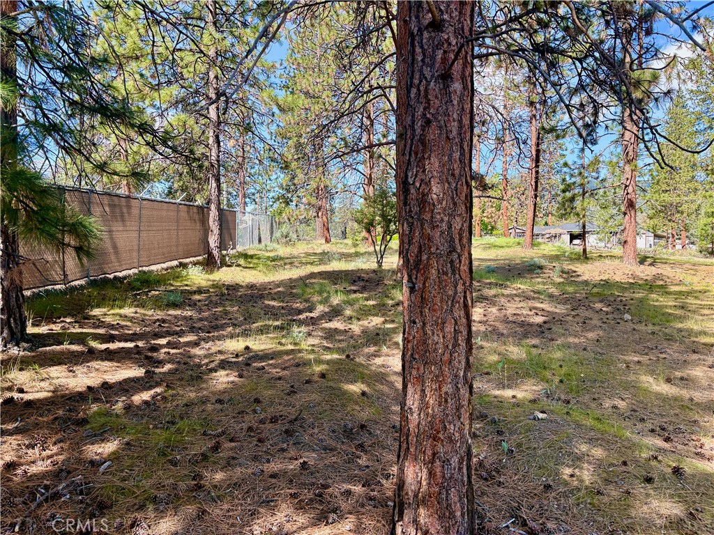 0 S Lang Way Property Photo 25