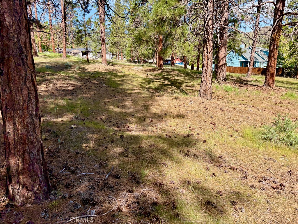 0 S Lang Way Property Photo 26