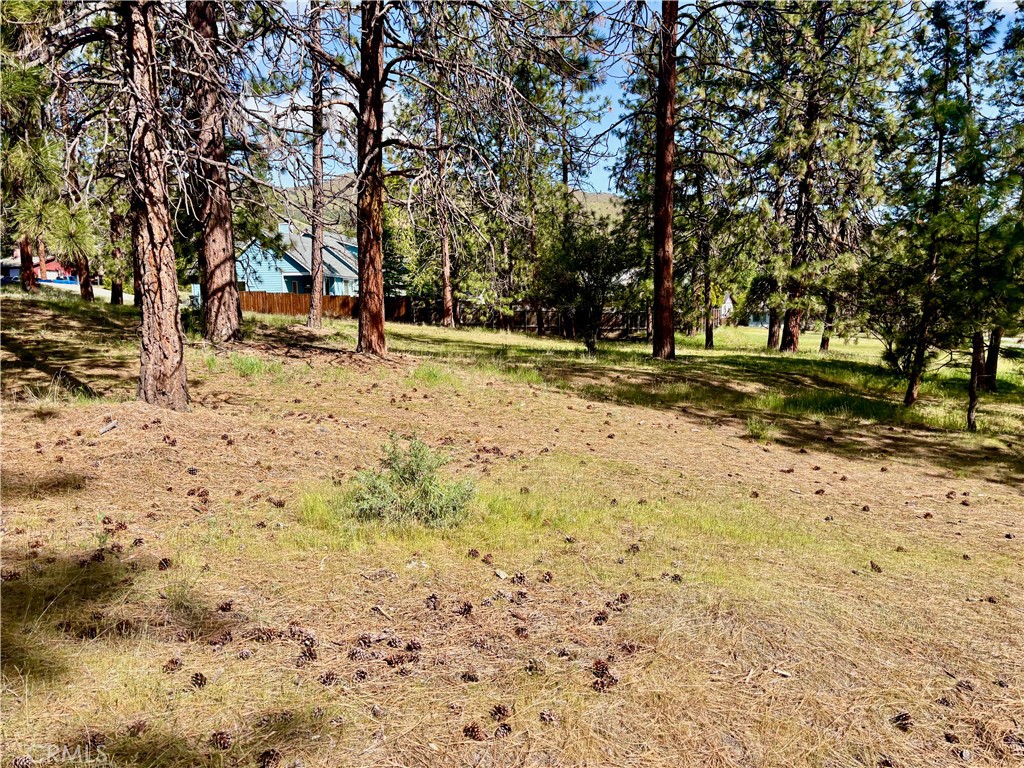 0 S Lang Way Property Photo 27