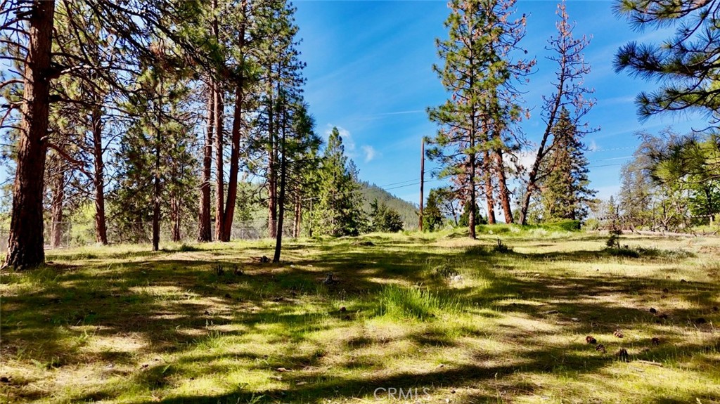 0 S Lang Way Property Photo 31
