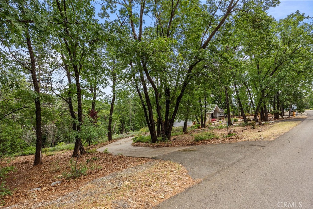 13434 Adrian Drive Property Photo 7