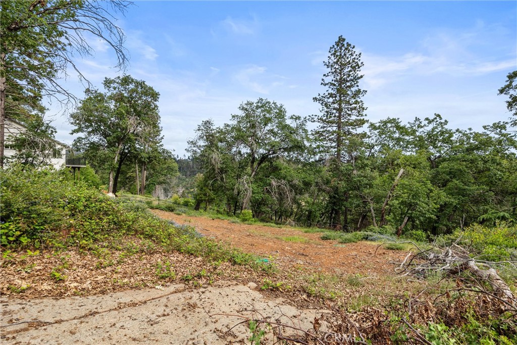 13434 Adrian Drive Property Photo 11