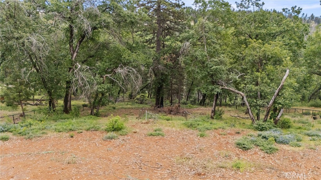 13434 Adrian Drive Property Photo 12