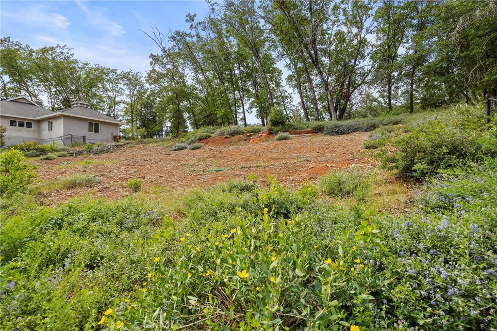 13434 Adrian Drive Property Photo 13