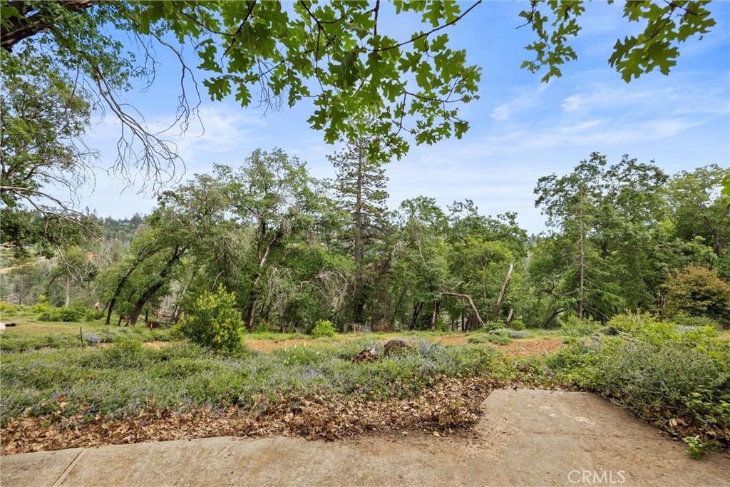 13434 Adrian Drive Property Photo 14