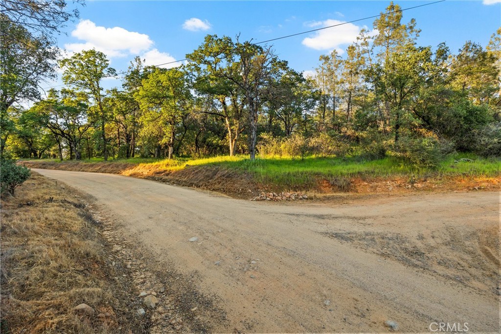 0 Ricky Road Property Photo 2