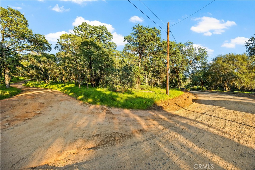 0 Ricky Road Property Photo 3