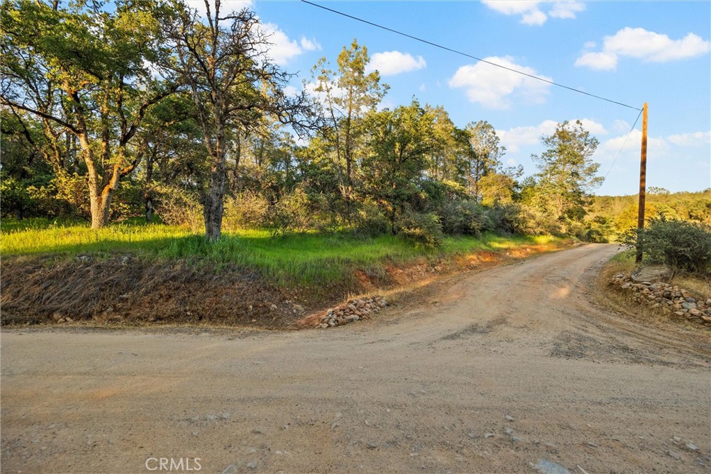 0 Ricky Road Property Photo 4