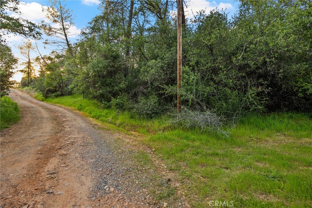 0 Ricky Road Property Photo 5