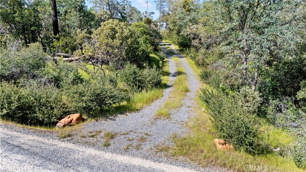 0 Grand Oak Dr Property Photo 3