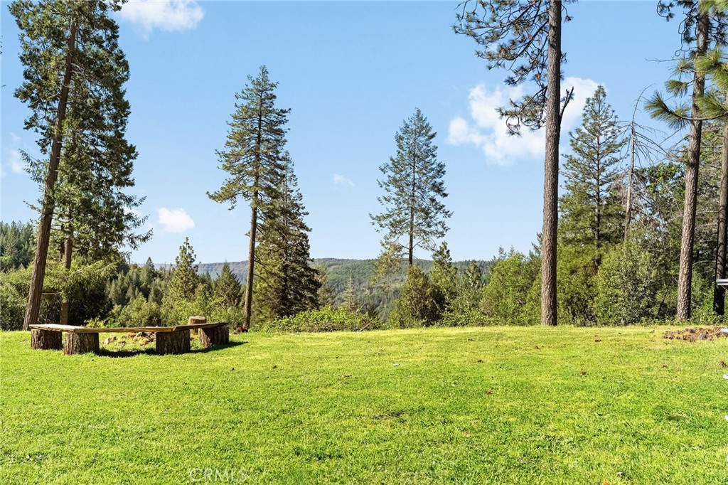 15989 Katydid Property Photo 4
