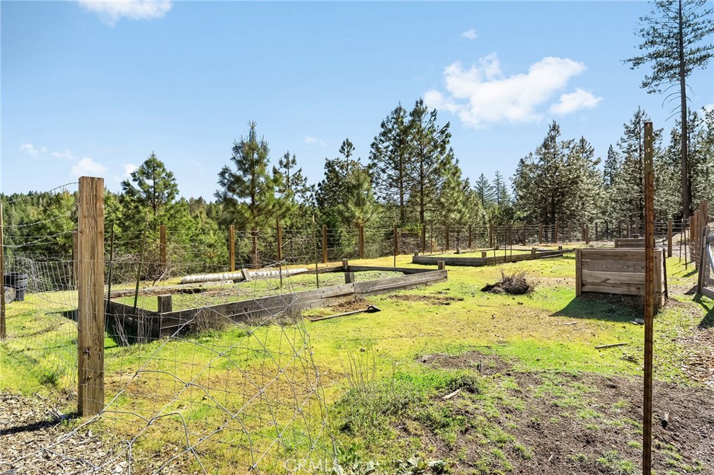 15989 Katydid Property Photo 42