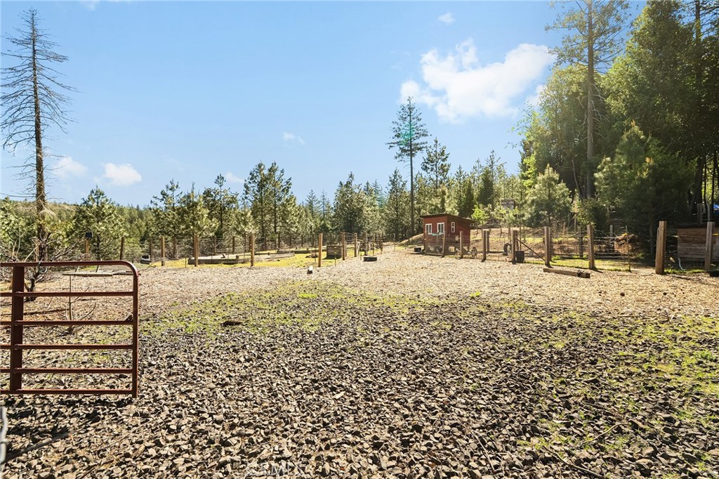 15989 Katydid Property Photo 44