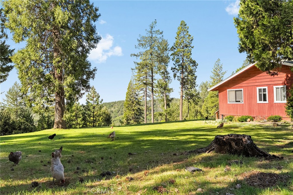 15989 Katydid Property Photo 45