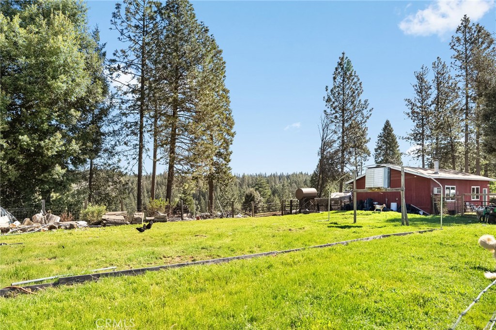 15989 Katydid Property Photo 49