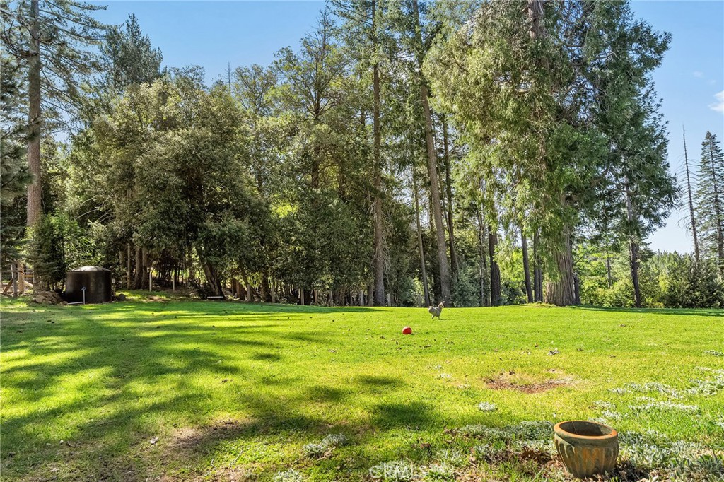 15989 Katydid Property Photo 55