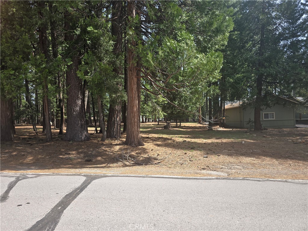 716 Conifer Property Photo 1