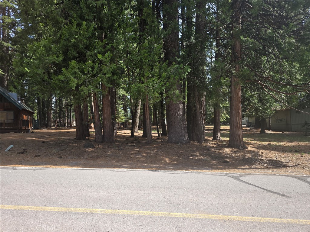 716 Conifer Property Photo 2