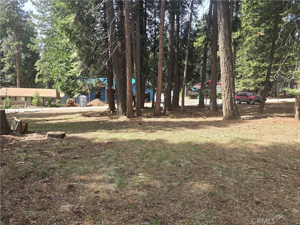 716 Conifer Property Photo 3