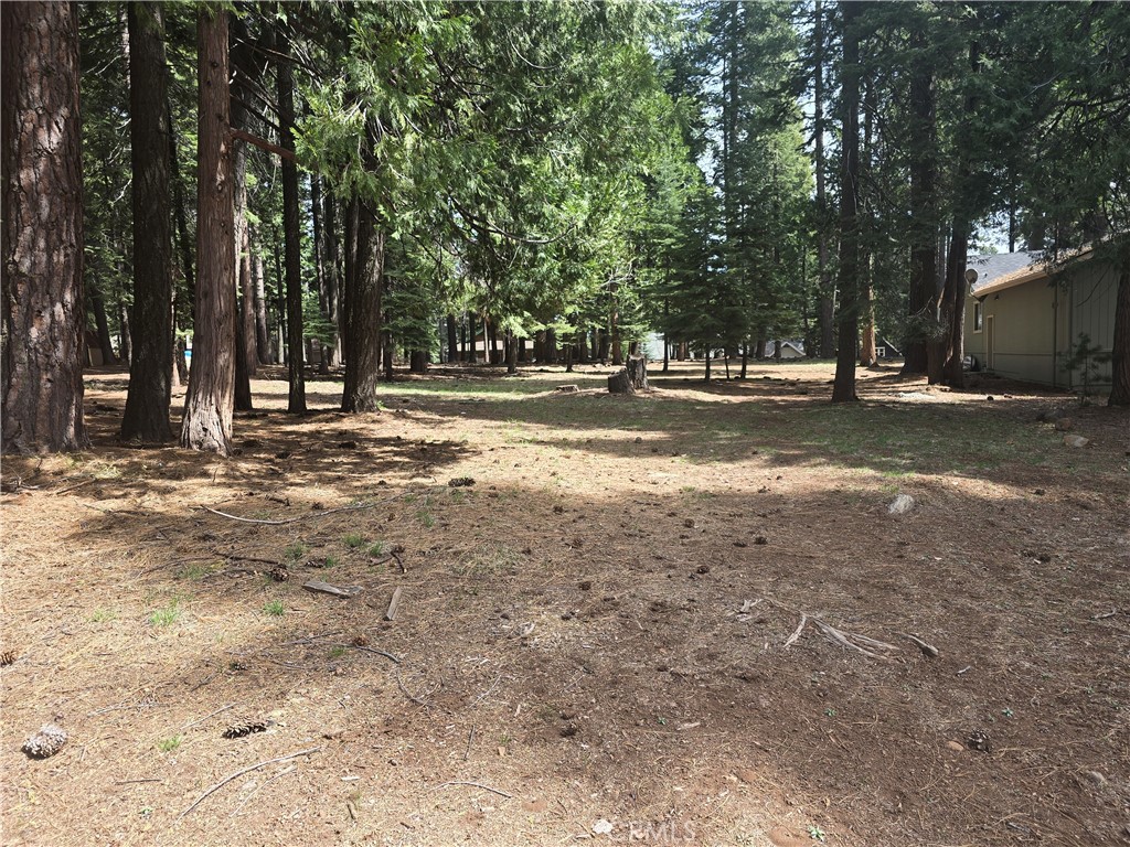 716 Conifer Property Photo 4