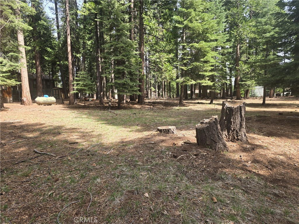 716 Conifer Property Photo 5